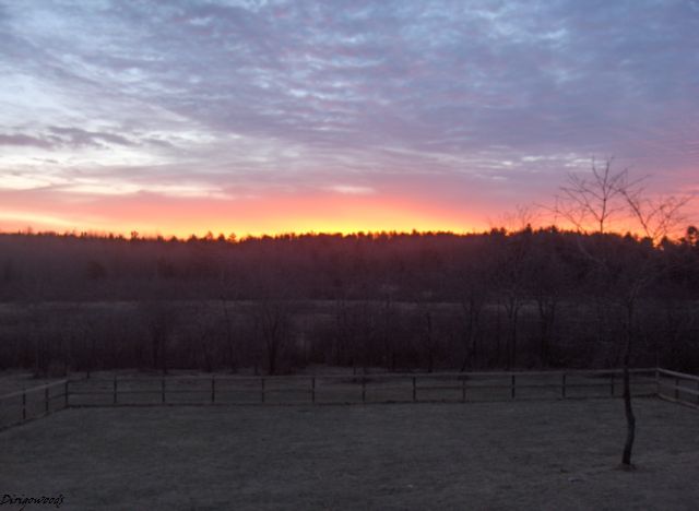February 2009 Sunrise